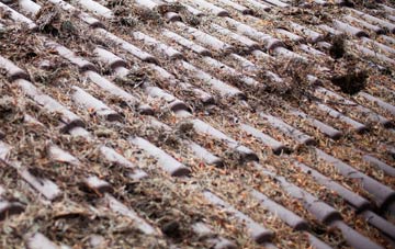 North Warnborough roof cleaning companies